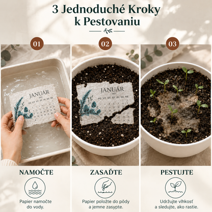 🌱 Kalendár na rok 2027 so semienkami na výsadbu 🍈 – Rok plný krásy a nového života na každej strane! 🌸🎁